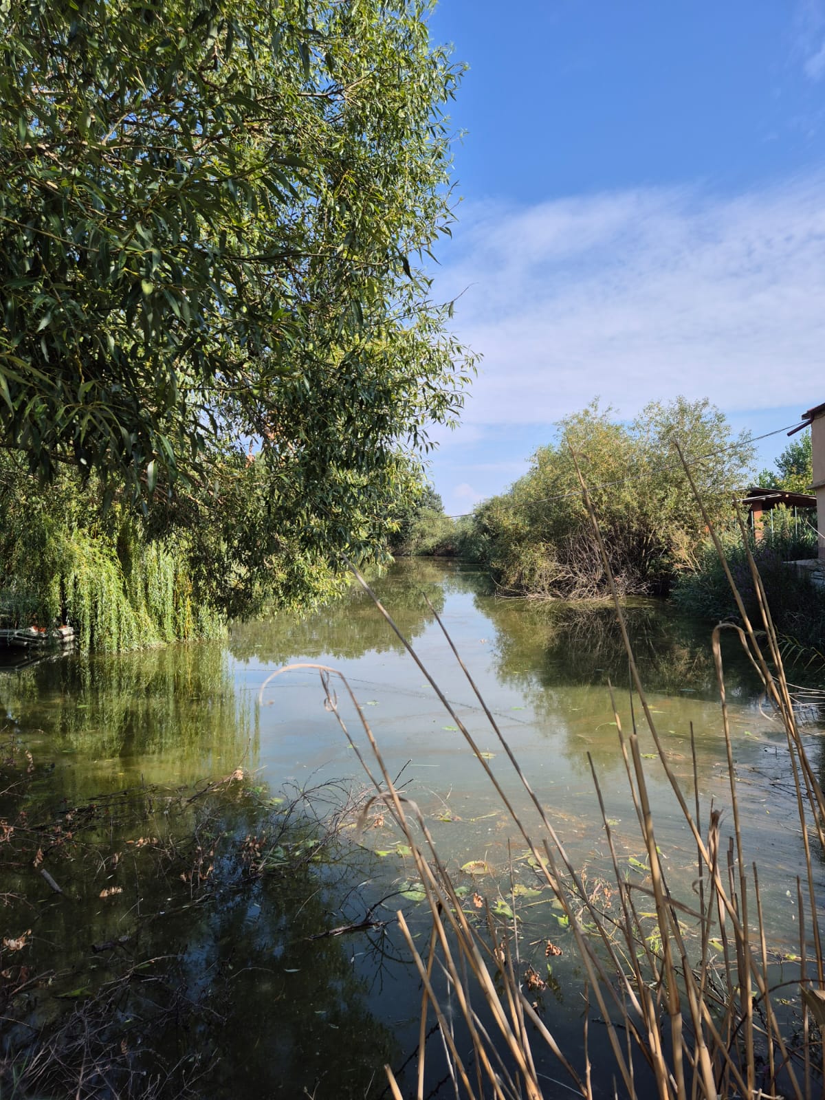 Balta cu Nuferi - Vedere generală